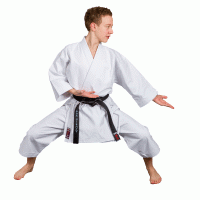 Kaiten Monarch Kata